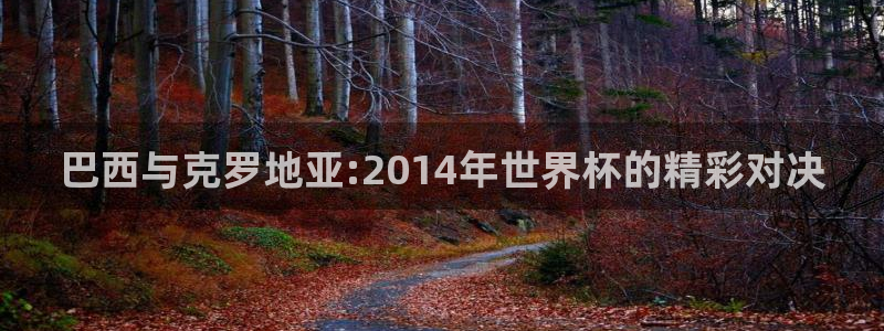 2026世预赛赛程表：巴西与克罗地亚:2014年世界杯的精彩对决