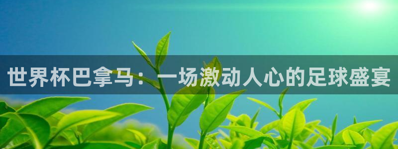 足球世界杯时间：世界杯巴拿马：一场激动人心的足球盛宴