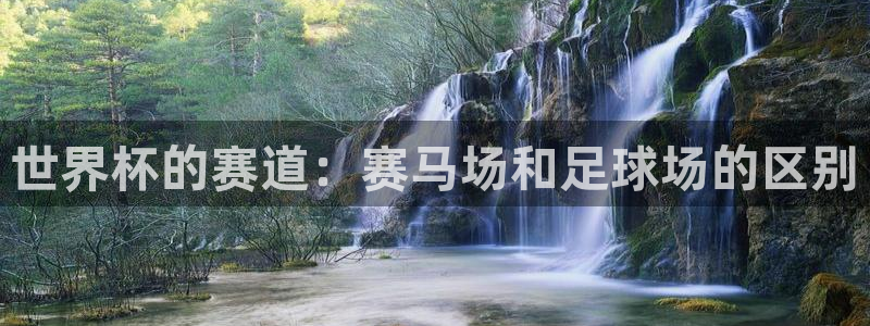 世界杯转播表：世界杯的赛道：赛马场和足球场的区别