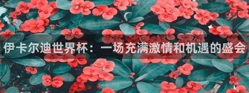世界杯在线直播：伊卡尔迪世界杯：一场充满激情和机遇的盛会