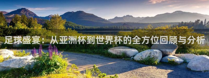 世界杯比赛赛程：足球盛宴：从亚洲杯到世界杯的全方位回顾与分析
