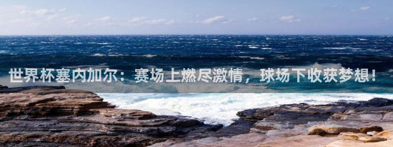 世界杯直播免费观看：世界杯塞内加尔：赛场上燃尽激情，球场下收获梦想！