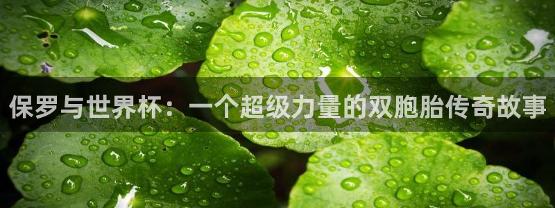 世界杯在线直播入口：保罗与世界杯：一个超级力量的双胞胎传奇故事