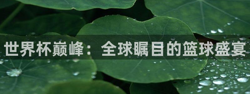 2026世界杯直播：世界杯巅峰：全球瞩目的篮球盛宴