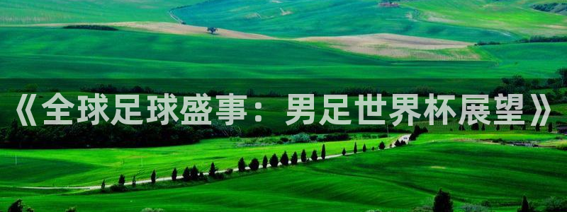 2026世界杯欧洲预选赛赛程表：《全球足球盛事：男足世界杯展望》