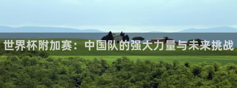 世界杯预选赛：世界杯附加赛：中国队的强大力量与未来挑战