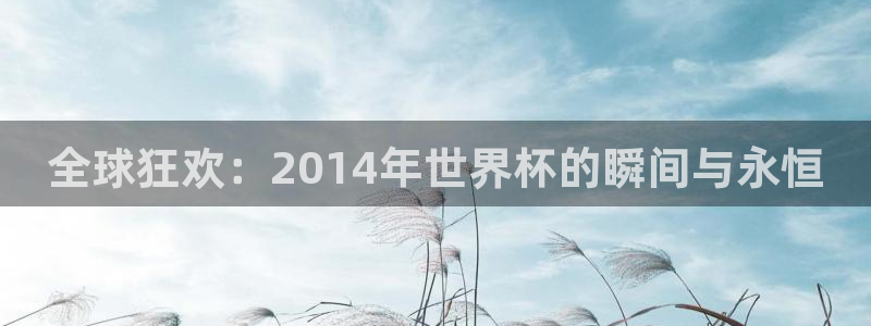 2026年世界杯赛程时间表格：全球狂欢：2014年世界杯的瞬间与永恒