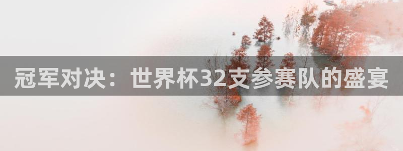 亚洲杯比赛直播：冠军对决：世界杯32支参赛队的盛宴