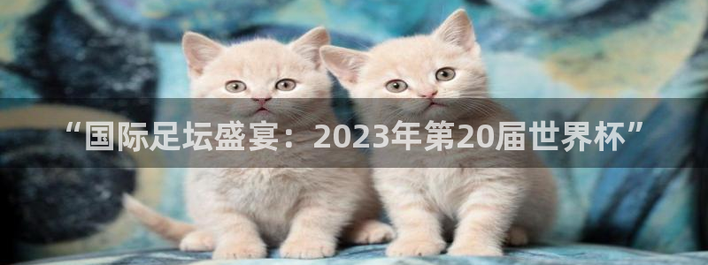 世界杯预选赛欧洲赛区赛程：“国际足坛盛宴：2023年第20届世界杯”