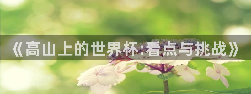 2026世界杯官网入口：《高山上的世界杯:看点与挑战》